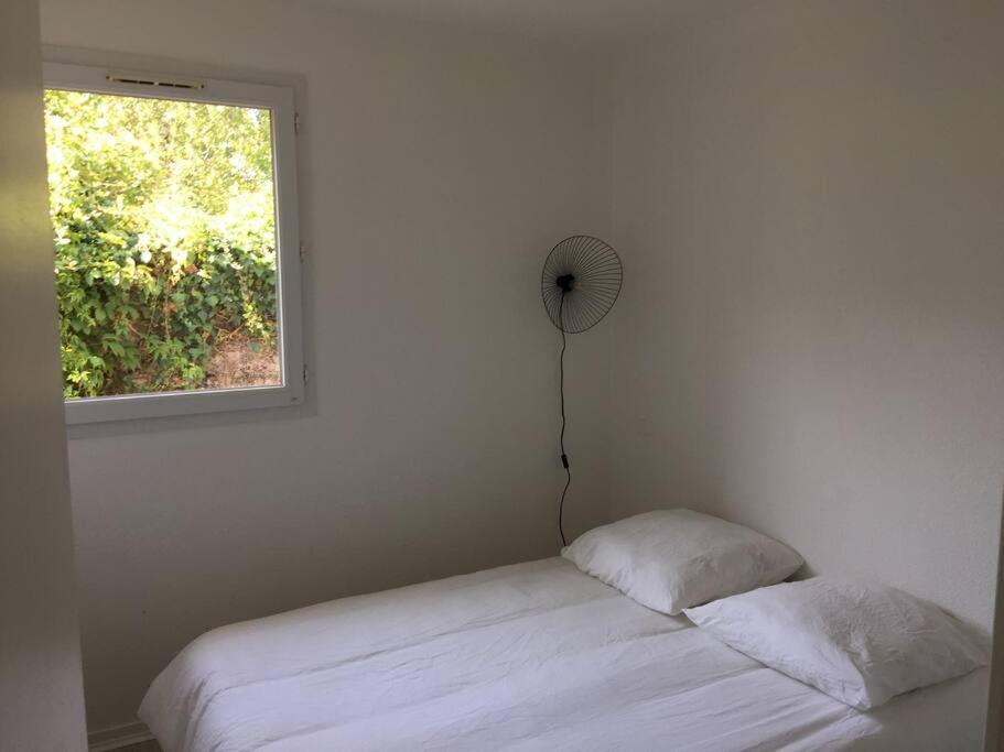 T3 En Duplex Avec Grande Piscine Lejlighed Anglet Eksteriør billede